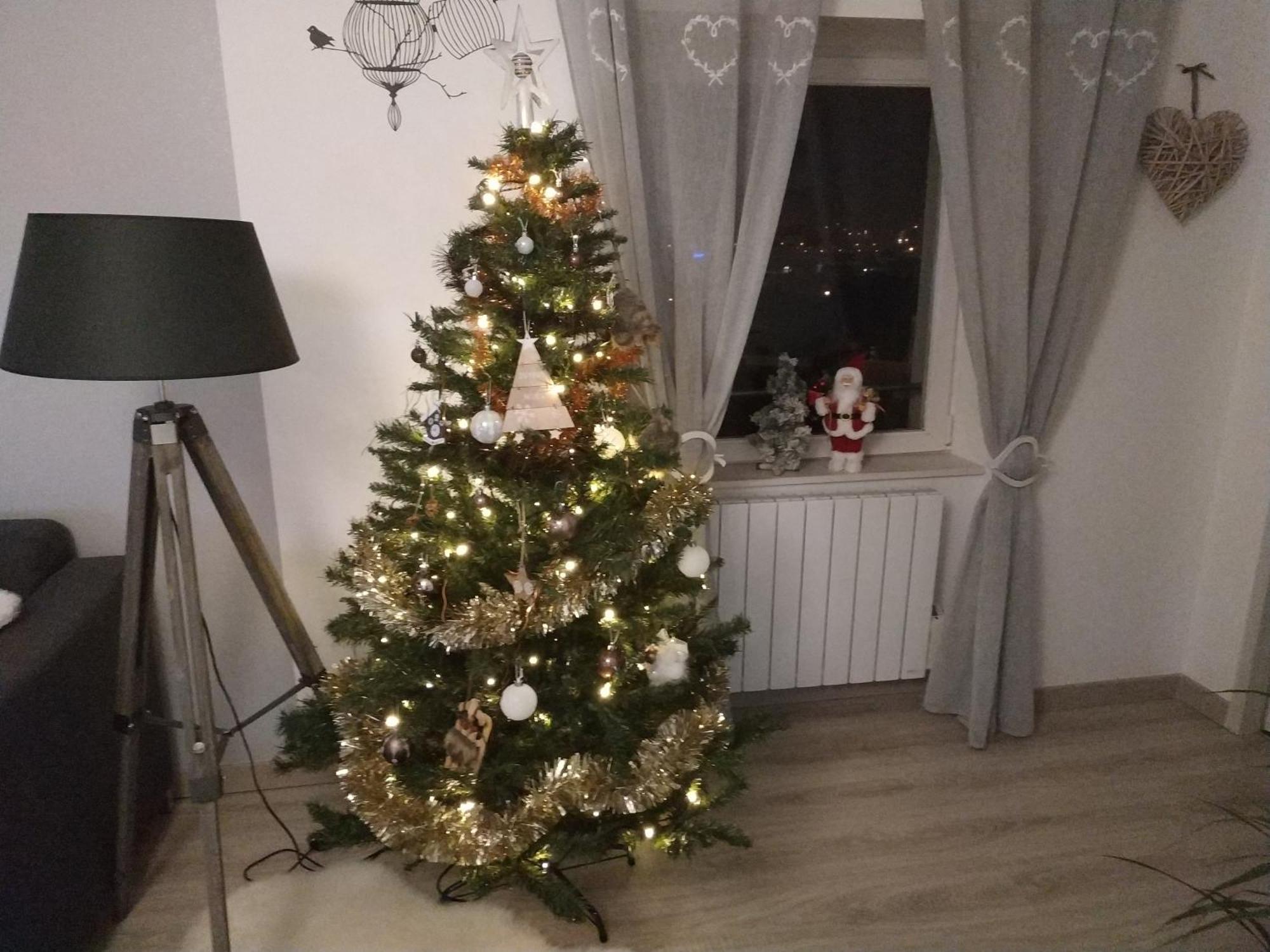L'améthyste Appartement